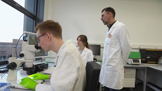 Drei Forschende in einem Labor. Einer der Forscher schaut in ein Mikroskop. © Screenshot 