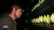 Landwirt Stephan Klünemann mit einer Stirnlampe in einer dunklen Halle vor Regalen mit Chicorée. © Screenshot 