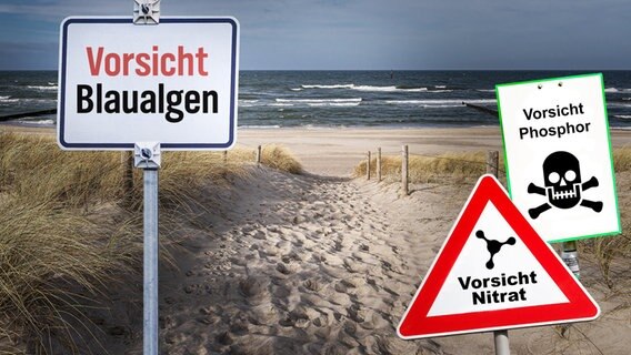Ein Ostsee-Strand mit Warnschildern. Ostsee am Limit: Urlaubsparadies in Gefahr (extra 3 vom 15.11.2023 im NDR Fernsehen) © NDR 