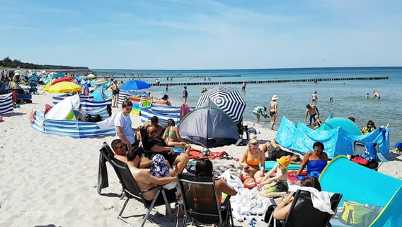 Eine Strandszene. © Screenshot 