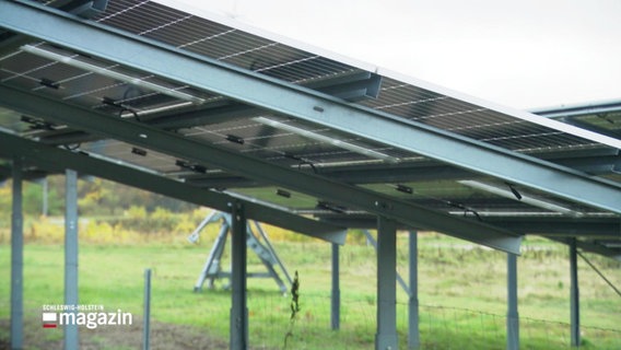 Auf einer Wiese stehen mehrere Photovoltaik-Panele. © Screenshot 