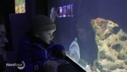 Ein Kind blickt in ein Aquarium. © Screenshot 