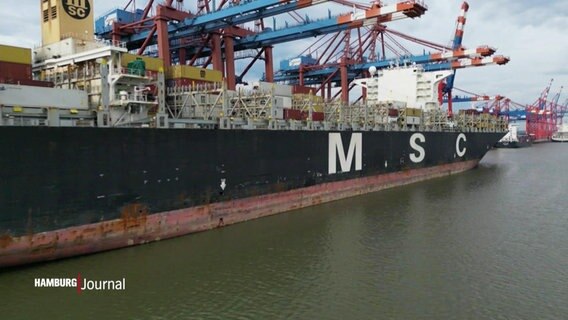Ein Containerschiff der Reederei MSC. © Screenshot 