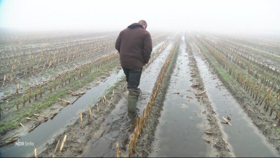 Ein Landwirt läuft über ein überschwemmtes Feld. © Screenshot 
