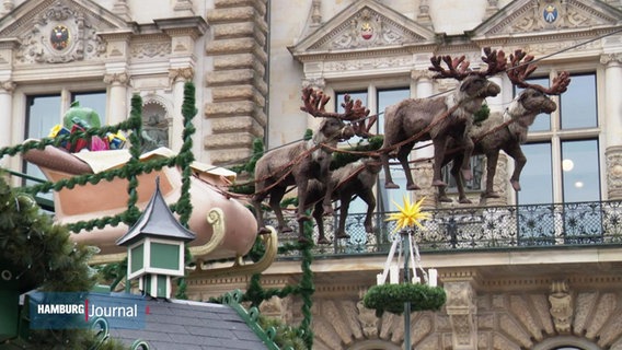 Eine Deko-Kutsche mit Rentieren vor dem Hamburger Rathaus. © Screenshot 