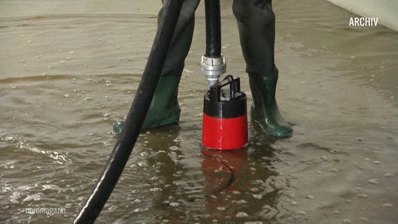 Wasser wird nach Überflutung eines Kellers abgepumpt. © Screenshot 