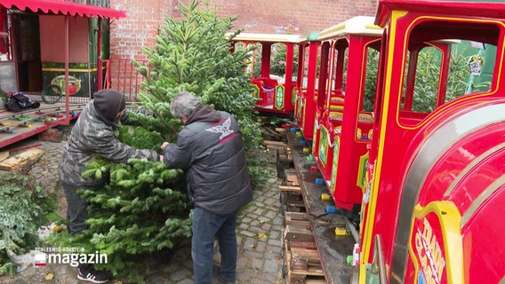 Zwei Männer stellen Weihnachtsbäume neben eine rote Eisenbahn. © Screenshot 