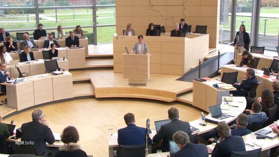 Blick in den Kieler Landtag. © Screenshot 