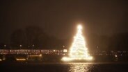 Weihnachtstanne auf der Alster leuchtet hell. © Screenshot 