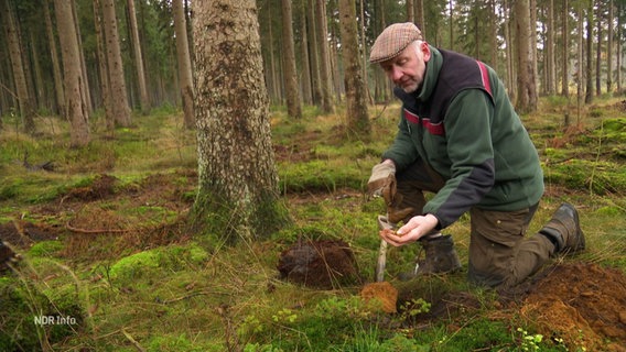 Ein Mann untersucht den Waldboden auf seine Beschaffenheit. © Screenshot 