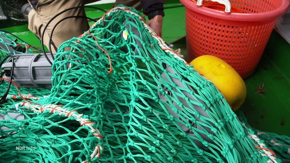 Ein Fischernetz ist mit Sonden und Apparaten versehen. © Screenshot 