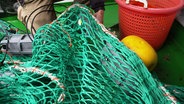 Ein Fischernetz ist mit Sonden und Apparaten versehen. © Screenshot 