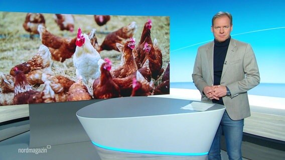 Thilo Tautz. © Screenshot 