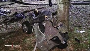 Trümmer eines Kleinwagens liegen in einem Waldstück verstreut zwischen Bäumen. © Screenshot 