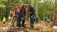 Menschen pflanzen Bäume im Wald. © Screenshot 