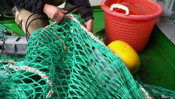 Eine Person legt Hand an ein Fischernetz. © Screenshot 
