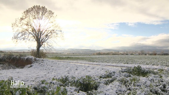 Winterlandschaft in Niedersachsen. © Screenshot 