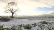 Winterlandschaft in Niedersachsen. © Screenshot 