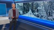 Der Moderator Thorsten Schröder. © Screenshot 