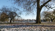 Winterstimmung im Park an der Hamburger Außenalster: Die Bäume haben zum Großteil ihre Blätter abgeworfen, auf der Wiese liegt Schnee und Frost, der Himmel ist blau. © Screenshot 