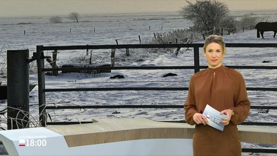 Eva Diederich moderiert Schleswig-Holstein 18.00. © Screenshot 