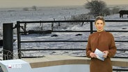 Eva Diederich moderiert Schleswig-Holstein 18.00. © Screenshot 