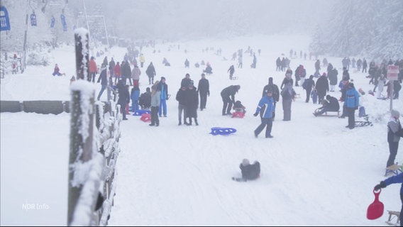Sehr viele Menschen beim Rodeln im winterlichen Harz. © Screenshot 