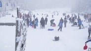 Sehr viele Menschen beim Rodeln im winterlichen Harz. © Screenshot 