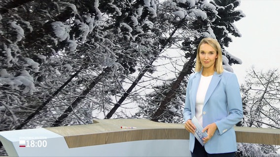 Alexandra Bauer moderiert Schleswig-Holstein 18.00. © Screenshot 