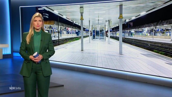 Die Moderatorin Bibiana Barth. © Screenshot 
