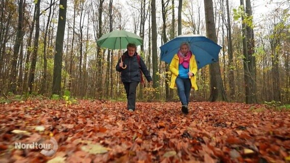 Zwei Frauen gehen mit Regenschirmen durch einen Herbstwald. © Screenshot 