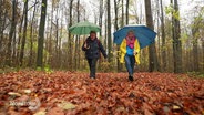Zwei Frauen gehen mit Regenschirmen durch einen Herbstwald. © Screenshot 