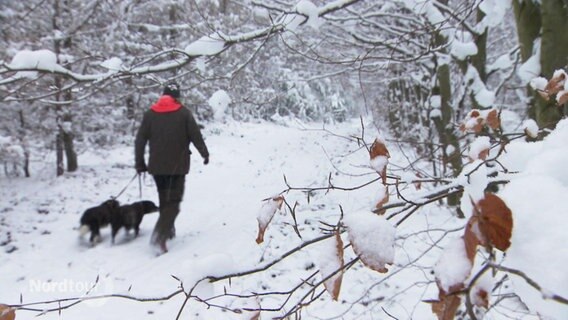 Ein Mann geht mit zwei Hunden in einem verschneiten Wald spazieren. © Screenshot 