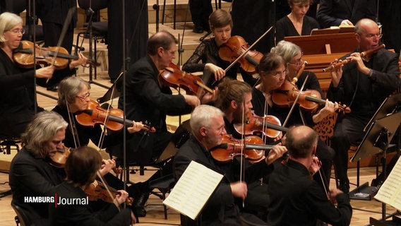Streicherinnen und Streicher eines großen Orchesters. © Screenshot 