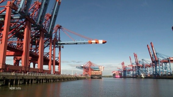 Containerschiffe liegen im Hamburger Hafen. © Screenshot 