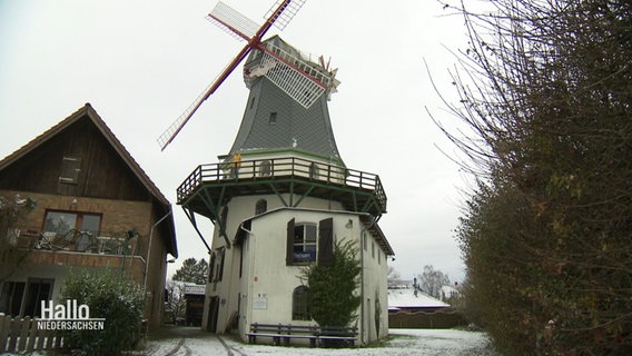 Die Mühle Jan Wind von 1871 © Screenshot 