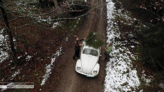 Zwei Personen stehen im Wald neben einem weißen VW Käfer und binden eine Tanne auf das Autodach. © Screenshot 