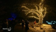 Ein beleuchteter Baum und Besucher des "Christmas Garden Hamburgs" im Loki-Schmidt Garten. © Screenshot 