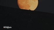 Ein Tier schaut zu einem grßen Mond auf. © Screenshot 