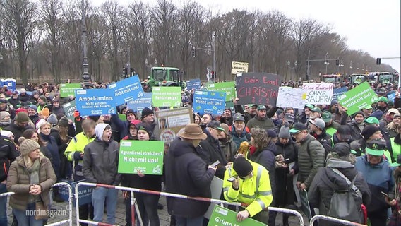 Demonstrantinnen halten Plakate hoch. © Screenshot 