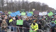 Demonstrantinnen halten Plakate hoch. © Screenshot 