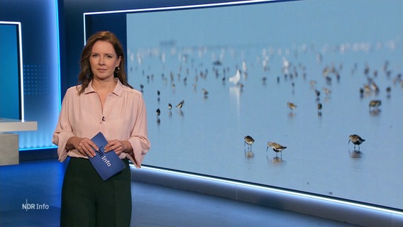 Romy Hiller moderiert NDR Info um 14.00. © Screenshot 