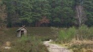 In der Lüneburger Heide: Ein sandiger Pfad führt an einem kleinen Holzhaus vorbei in den Wald. © Screenshot 