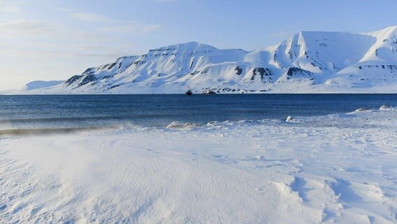 Zwei Schiffe auf dem Wasser weiter entfernt vor der Kulisse von schneebedeckten Bergen. © Screenshot 