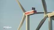 Zwei nebeneinander stehende Windkrafträder. © Screenshot 