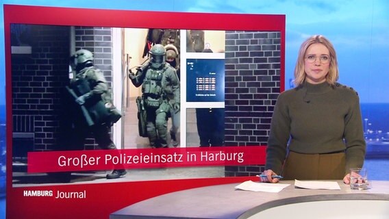 Merlin van Rissenbeck moderiert. © Screenshot 