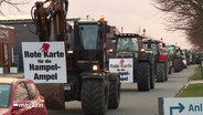 Viele Trecker auf einer Straße mit Protestschildern an ihnen. © Screenshot 