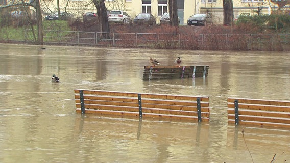 Parkbänke stehen auf einer überfluteten Straße. © Screenshot 