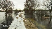 Ein Deich aus Sandsäcken soll die Überschwemmungen der Weser im Rahmen halten. © Screenshot 