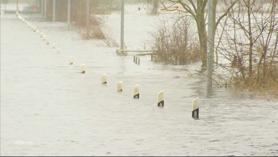 Hochwasser: Von den Leitpfosten am Straßenrand ragen nur noch etwa 25cm aus dem Wasser. © Screenshot 